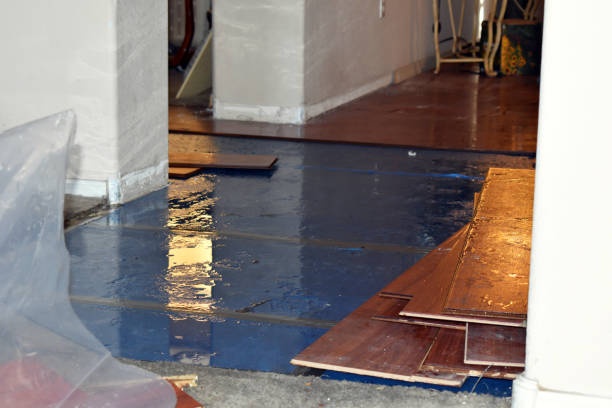 Professional Basement Flood Cleanup technician working in Dresser, WI